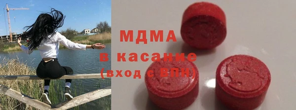 гашик Алексин