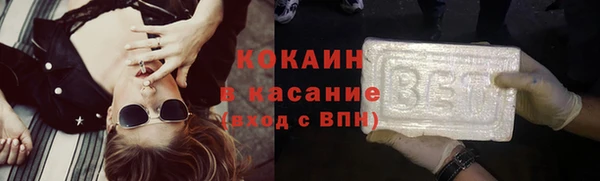 гашик Алексин