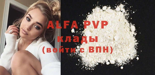 гашик Алексин