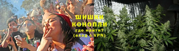 гашик Алексин