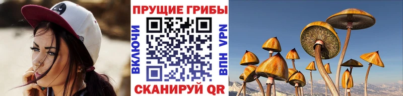 продажа наркотиков  мега ССЫЛКА  Галлюциногенные грибы Cubensis  Старый Оскол 
